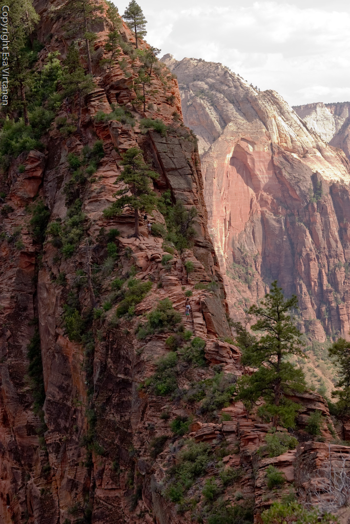 The final part of the Angel's Landing hike, Zion.