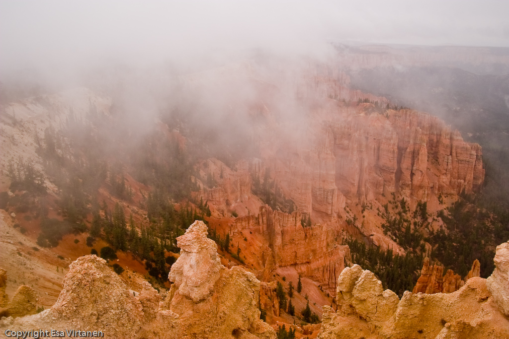 It was rainy and misty at Bryce...