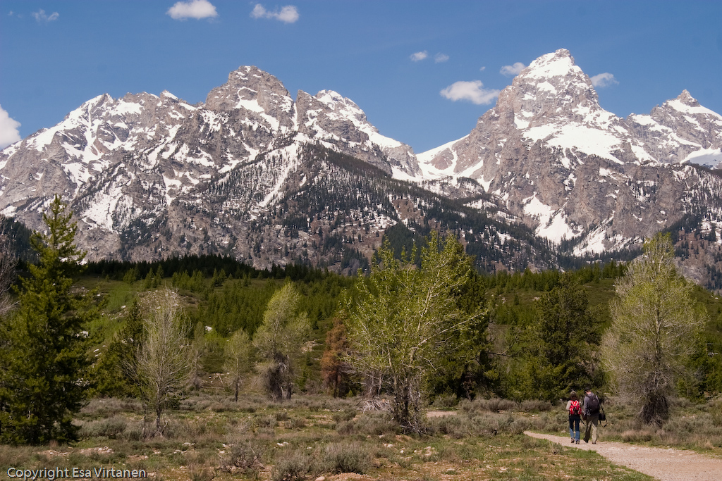 The large and firm tetons of Grand Teton.