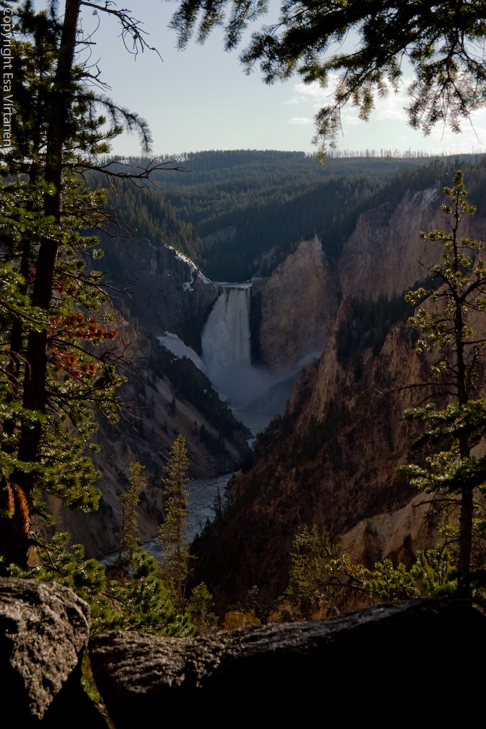 Yellowstone falls again.