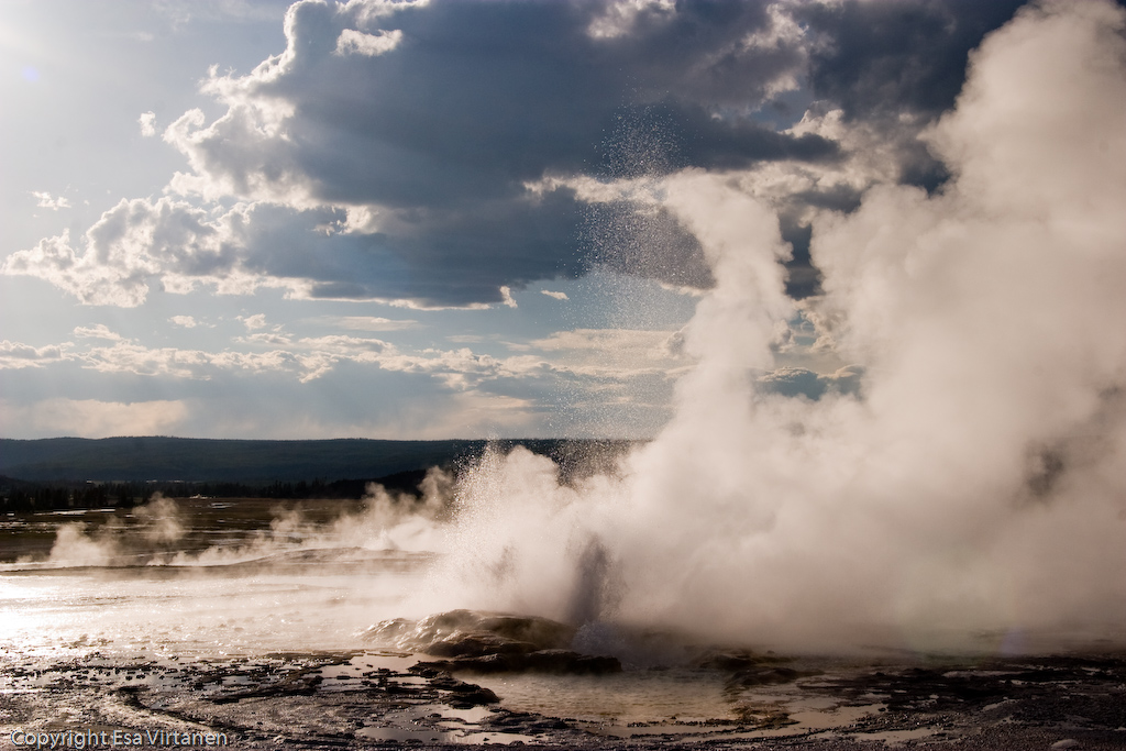 A Geysir at Yellowstone.