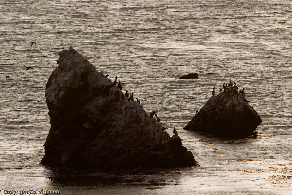 A view from a motel room in Pismo Beach.