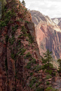 The final part of the Angel's Landing hike, Zion.