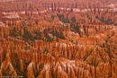 Bryce Amphitheater.