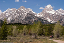 The large and firm tetons of Grand Teton.