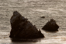 A view from a motel room in Pismo Beach.